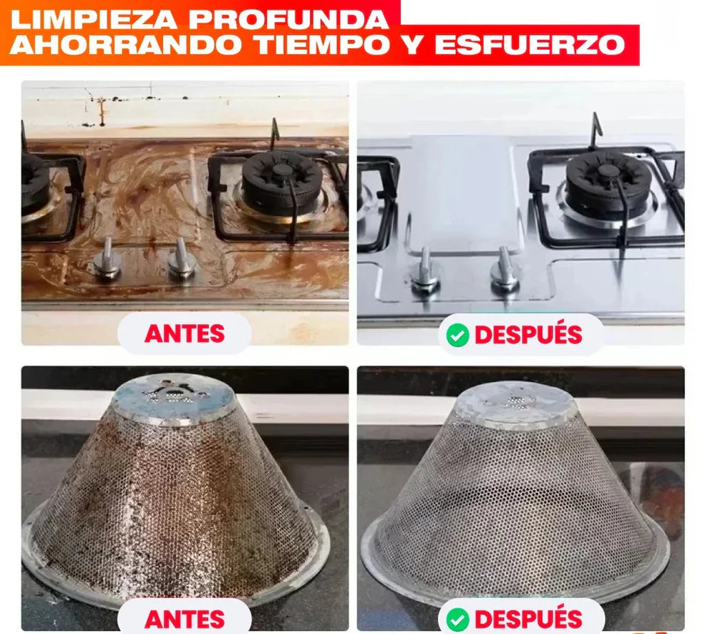 Limpiador A Vapor Presion 2500w Portatil